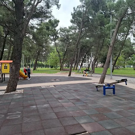Zadovoljan *