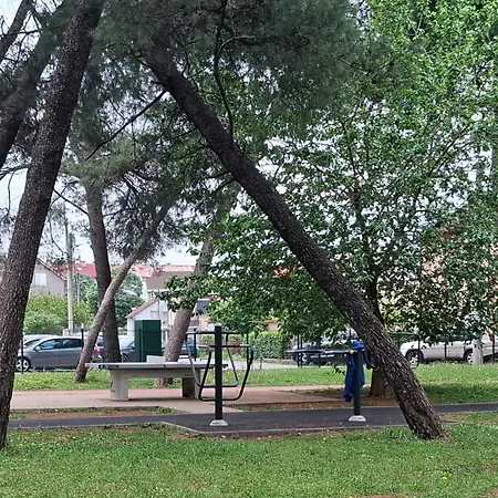Zadovoljan * Podgorica