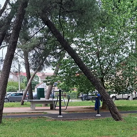 Zadovoljan * Podgorica